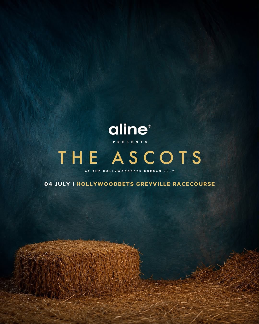 The Ascots at the Hollywoodbets Durban July Festival, VIP ACCESS